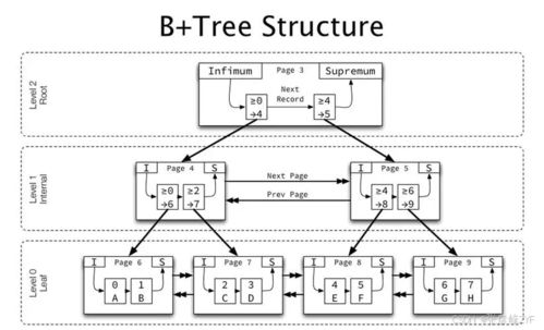 深入InnoDB核心 揭秘B+樹在數(shù)據(jù)庫(kù)索引中的高效應(yīng)用